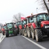 Польские фермеры бастуют - правительство не борется с АЧС